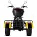 Электротрицикл Citycoco Siberton PRO TRIKE 3000W Электротрицикл Citycoco Siberton PRO TRIKE 3000W