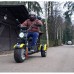 Электротрицикл Citycoco Siberton PRO TRIKE 3000W Электротрицикл Citycoco Siberton PRO TRIKE 3000W