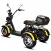 Электротрицикл Citycoco Siberton PRO TRIKE 3000W Электротрицикл Citycoco Siberton PRO TRIKE 3000W