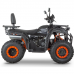 Квадроцикл Dazzle ATV200 Комплектация 1 Квадроцикл Dazzle ATV200 Комплектация 1