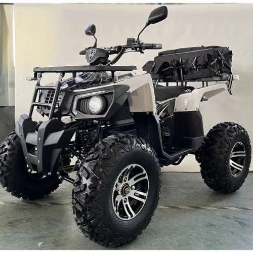 Подростковый электроквадроцикл MOTAX ATV GRIZLIK E3000 4WD