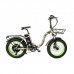 Электровелосипед Elbike Taiga 1 Elite (camouflage)