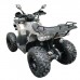 Квадроцикл GRIZLIK T200 LUX Квадроцикл GRIZLIK T200 LUX