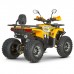 Квадроцикл Dazzle ATV125 Комплектация 2 Квадроцикл Dazzle ATV125 Комплектация 2