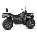 Квадроцикл MOTAX Grizlik 300 cc Квадроцикл MOTAX Grizlik 300 cc