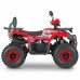 Квадроцикл Dazzle ATV125 Комплектация 1 Квадроцикл Dazzle ATV125 Комплектация 1
